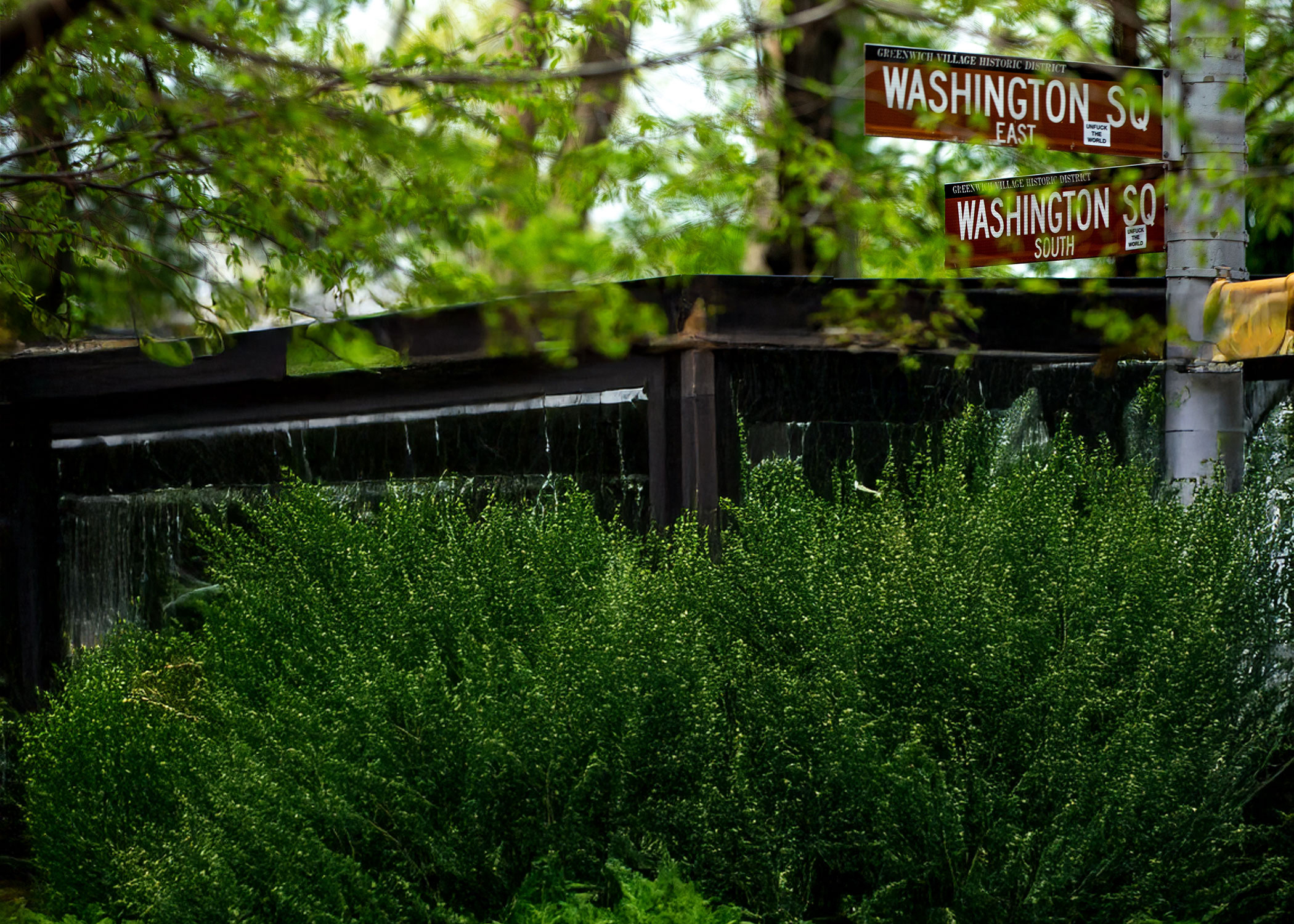 NYC street signs and greenery.